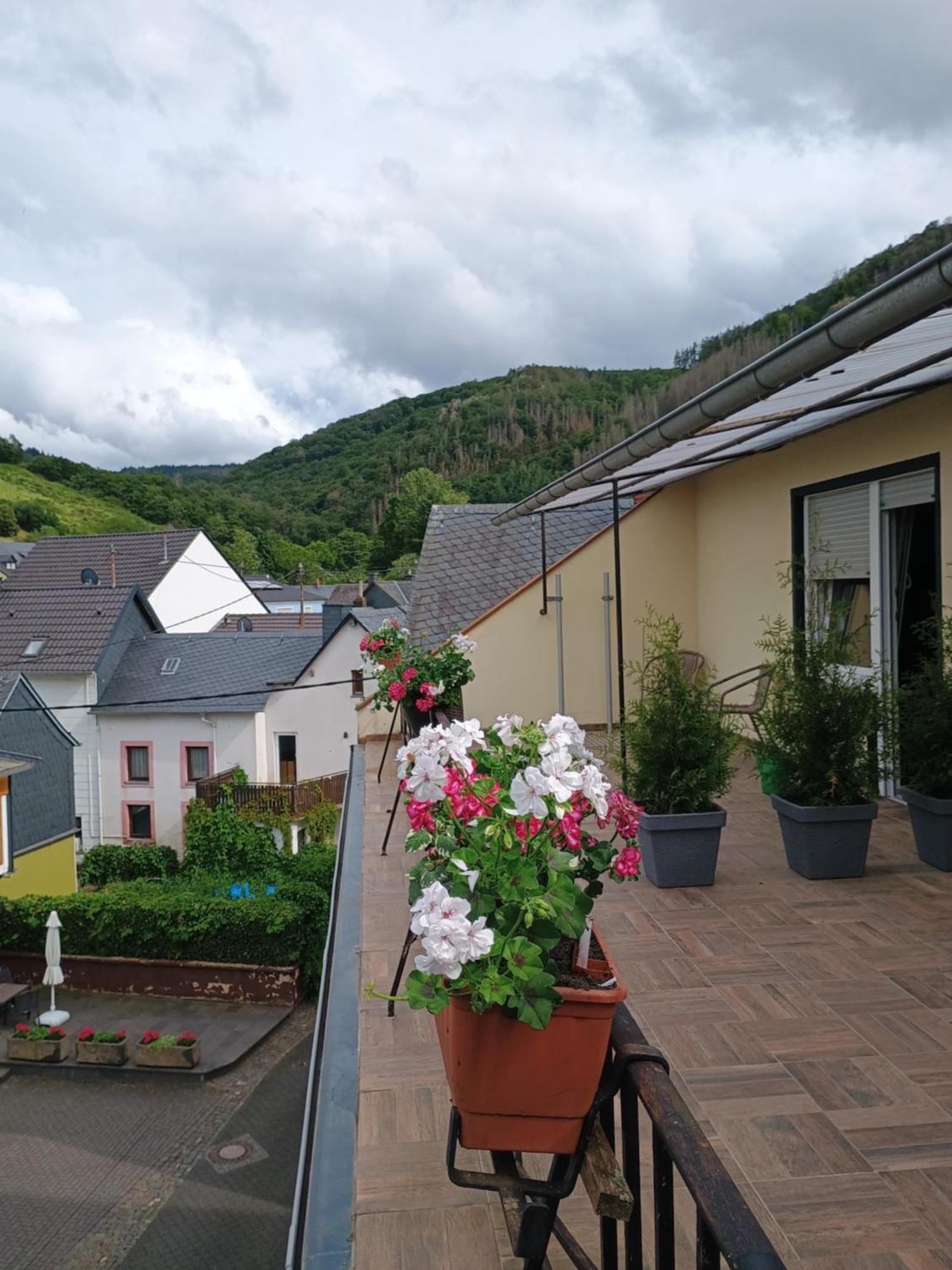 Gasthof Zur Grafschaft Veldenz Ngoại thất bức ảnh