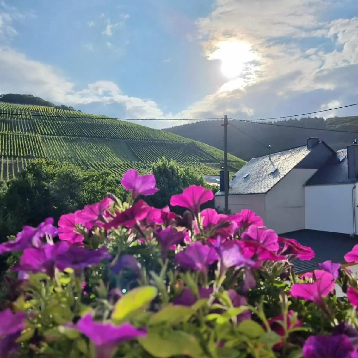 Gasthof Zur Grafschaft Veldenz Ngoại thất bức ảnh